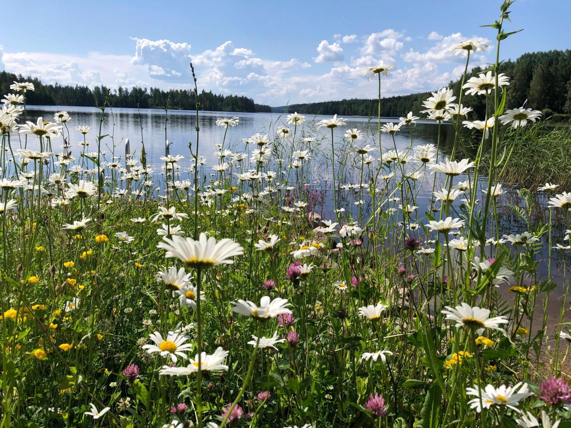 Vehkaniemen Lomatila Pohjaslahti 외부 사진